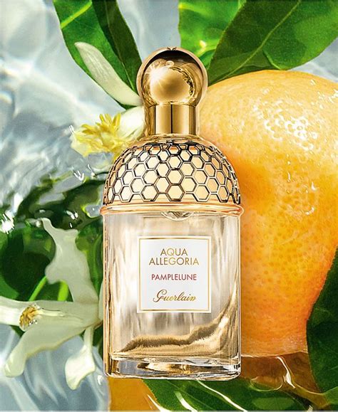 pamplelune grapefruit perfume.